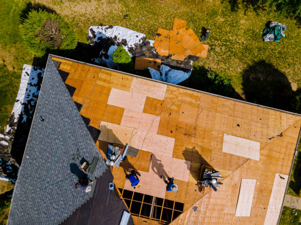 Best Commercial Roofing Services  in Hayden, CO